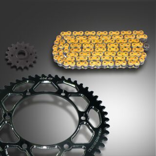 GP-TECH Factory Kettenkit Kawasaki schwarz DID 520 VX3 X Ring