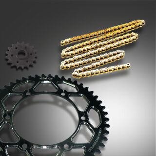GP-TECH Factory Kettenkit Kawasaki schwarz DID 520 ERT3