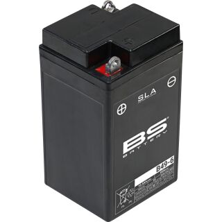 BS Battery Motorradbatterie 6V B49-6 10AH 80A AGM wartungsfrei werksakt.