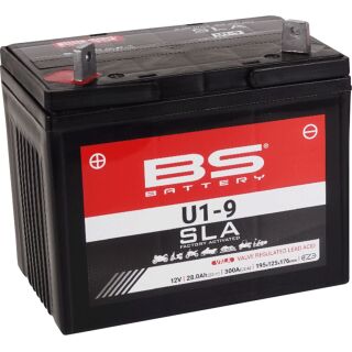 BS Battery Motorradbatterie 12V U1-9 28AH 300A AGM wartungsfrei werksakt.
