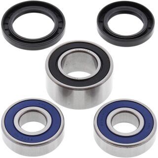 All Balls Radlager-Satz f. Honda CBR 600 hinten 01–06 s.Liste