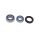 All Balls Radlager-Satz f. Aprilia TUONO 660 s.Liste
