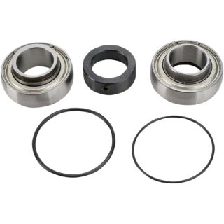 All Balls Kettenkasten Lager- und Dichtungssatz f. Arctic Cat JAG 440 89–99 b