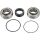 All Balls Kettenkasten Lager- und Dichtungssatz f. Arctic Cat JAG 440 89–99 b