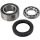 All Balls Kettenkasten Lager- und Dichtungssatz f. Arctic Cat M8 800 07–11 a