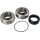 All Balls Kettenkasten Lager- und Dichtungssatz f. Arctic Cat BEARCAT 660