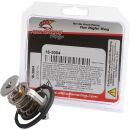 All Balls Ersatz-Thermostat - f. Polaris Polaris RZR XP...